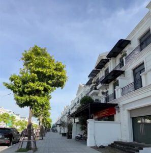 Thi công xây dựng biệt thự đơn lập Hải Âu 02-119