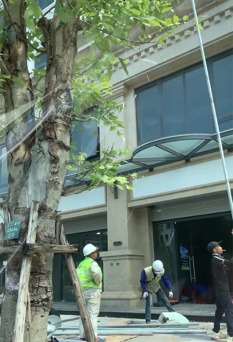 Thi công xây dựng biệt thự Hải Âu 11