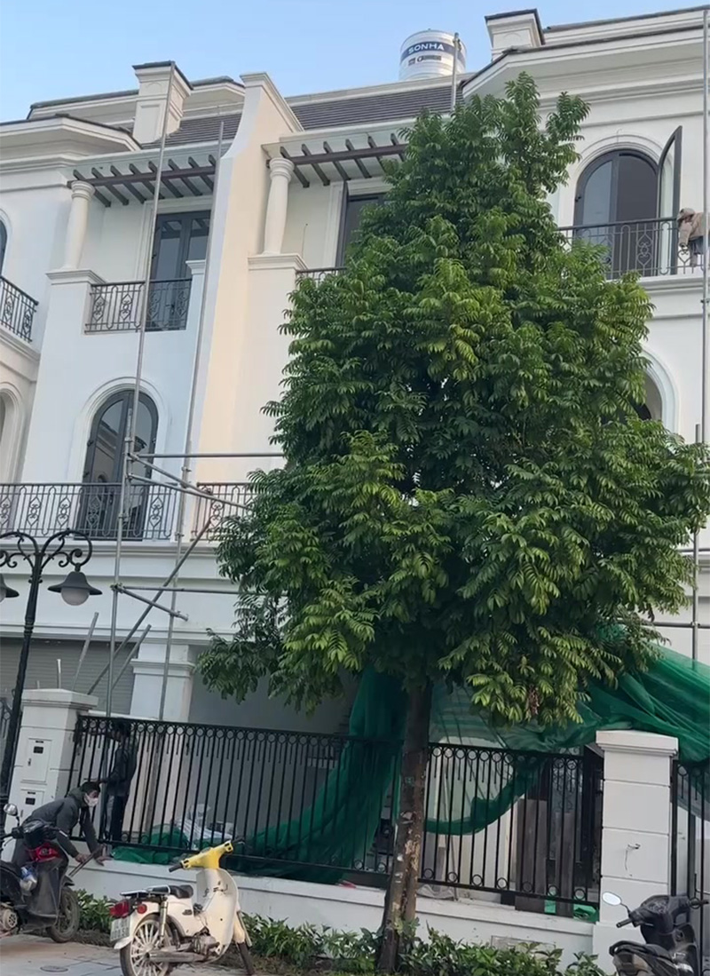 Thi công xây dựng biệt thự Ngọc Trai 02-39