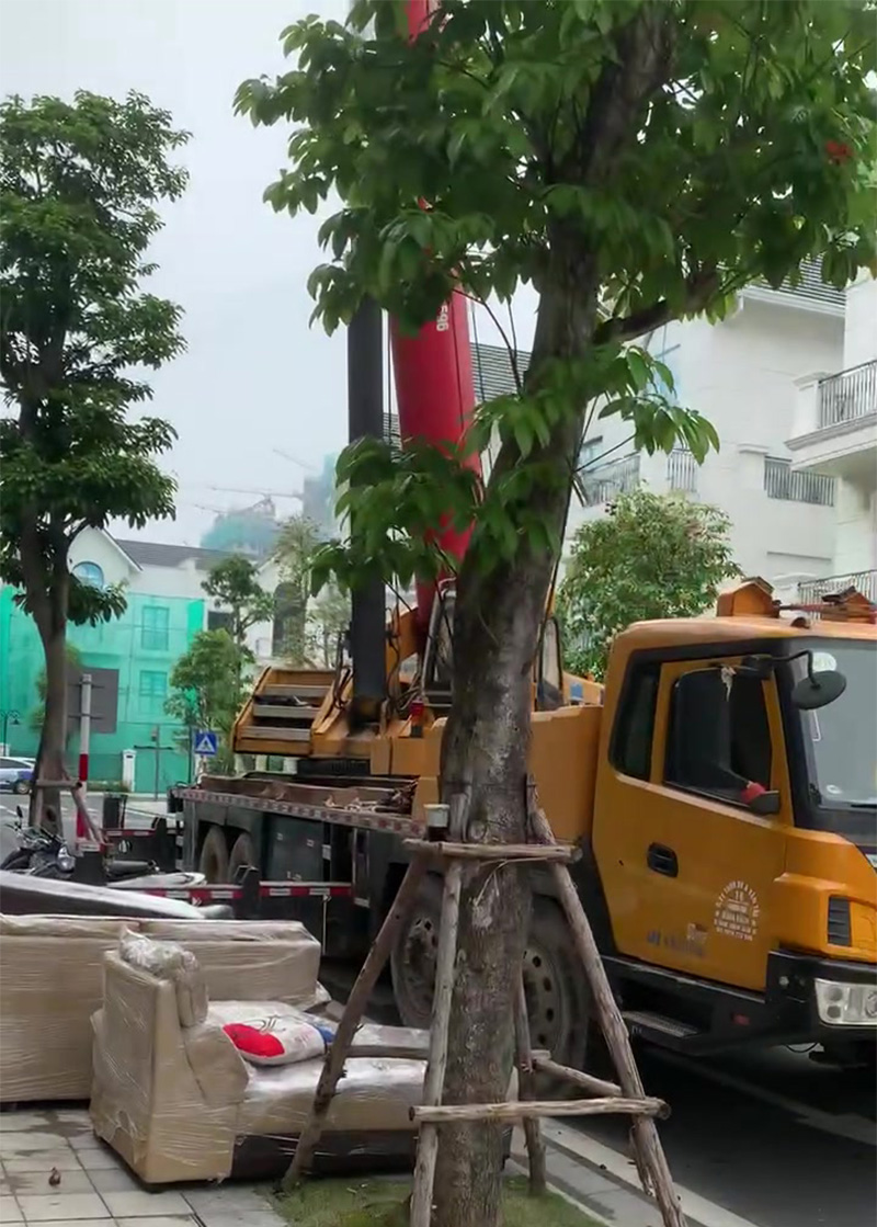 Thi công xây dựng biệt thự San Hô 03-16