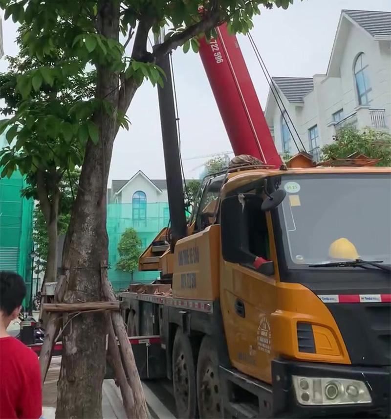 Thi công xây dựng biệt thự San Hô 03-16