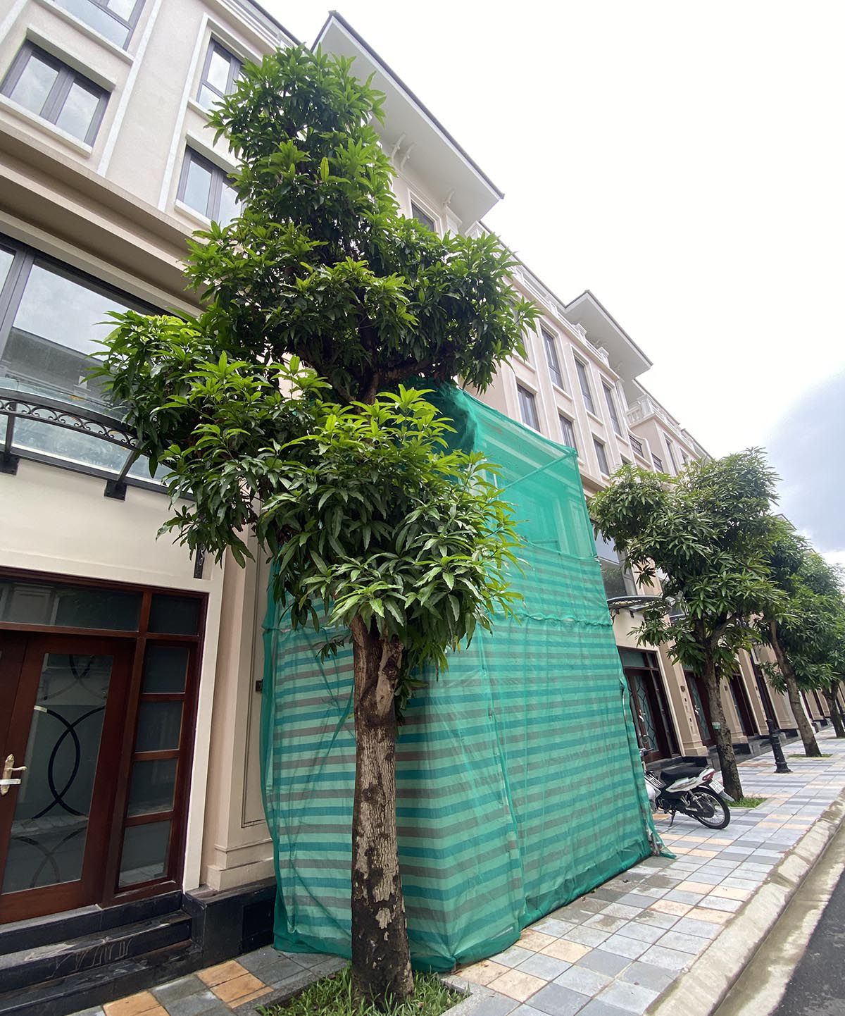 Thời Đại 01-41 - Vinhomes Ocean Park